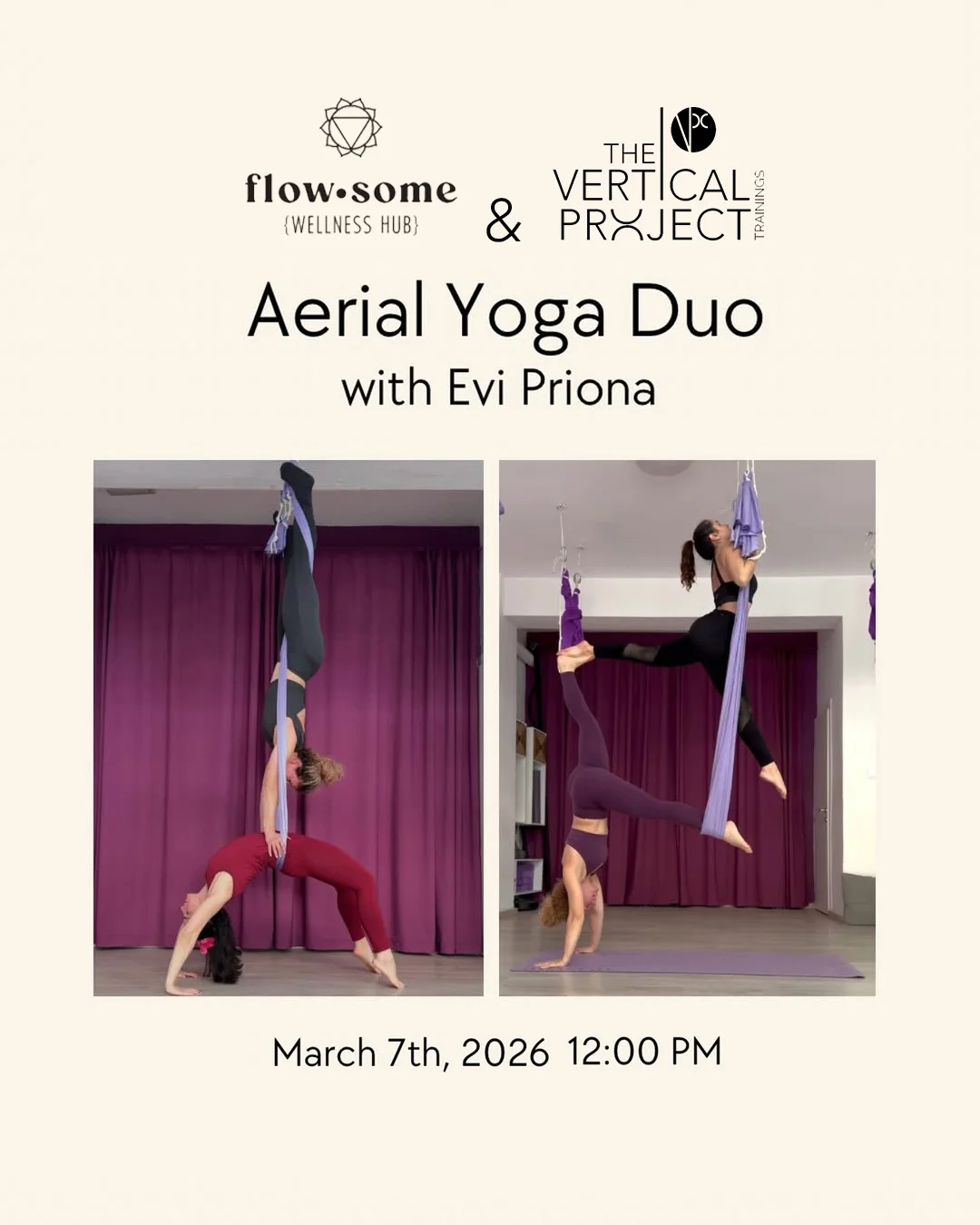 Aerial Yoga Duo / Flowsome Wellness Hub
